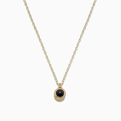 Le collier photo classique