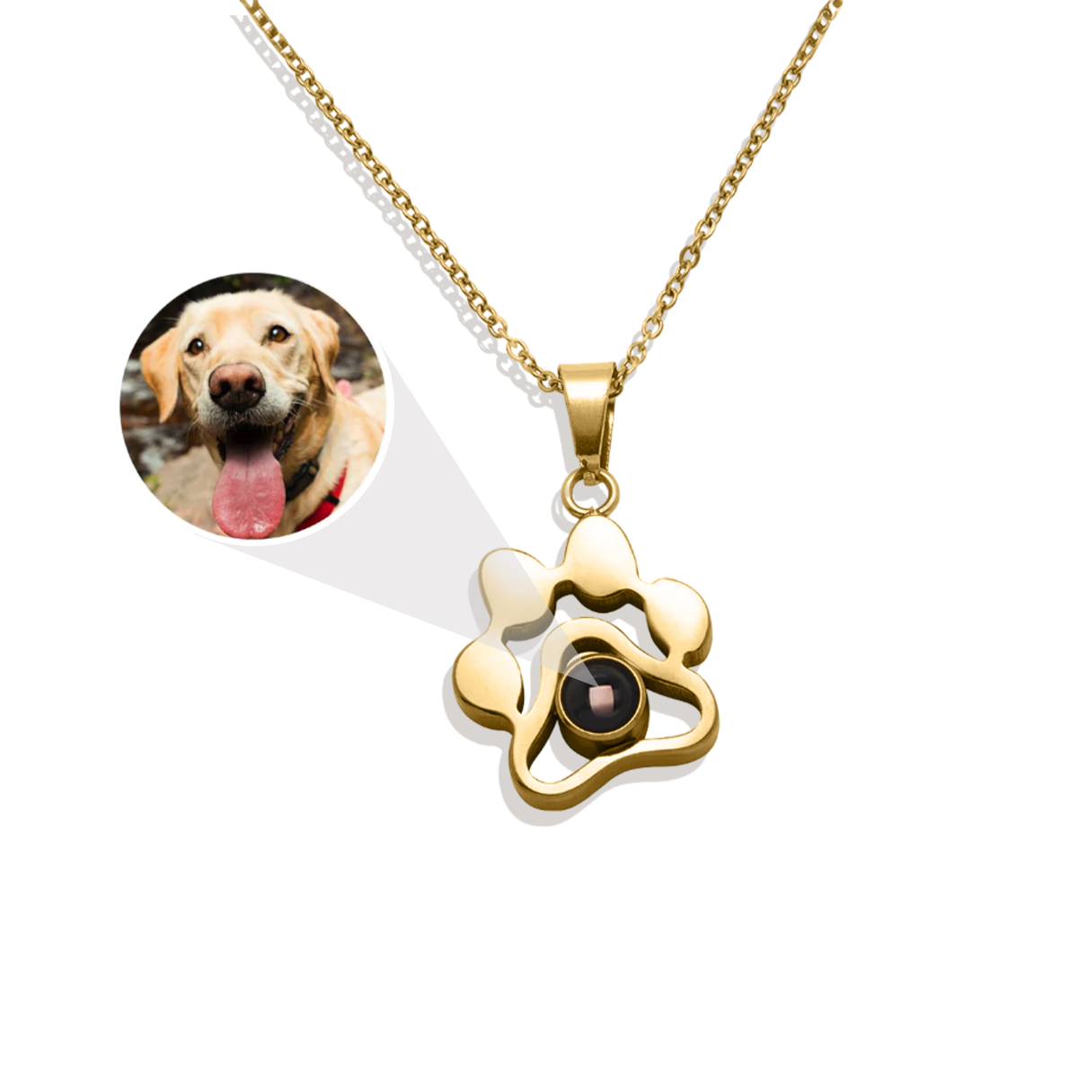 Collier photo personnalisé pour animaux de compagnie