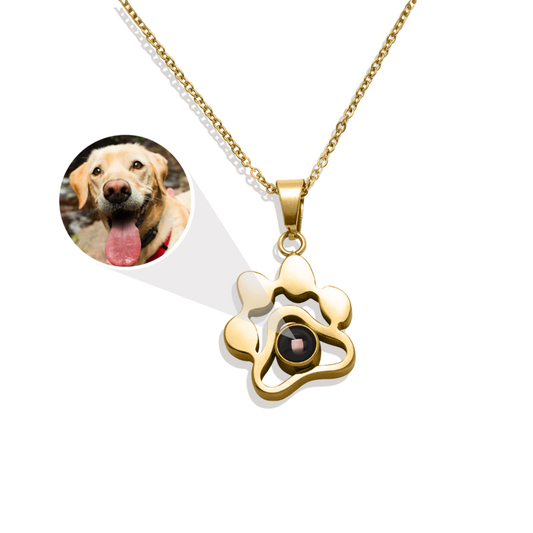 Collier photo personnalisé pour animaux de compagnie