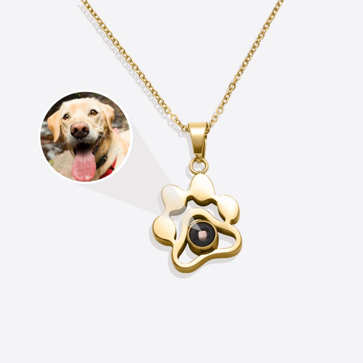 Collier photo personnalisé pour animaux de compagnie