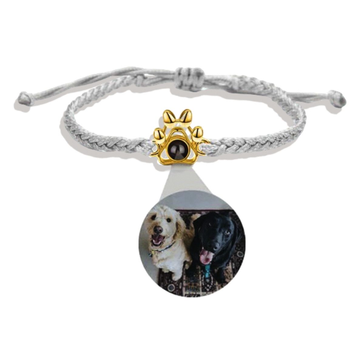 Bracelet photo patte d'animal
