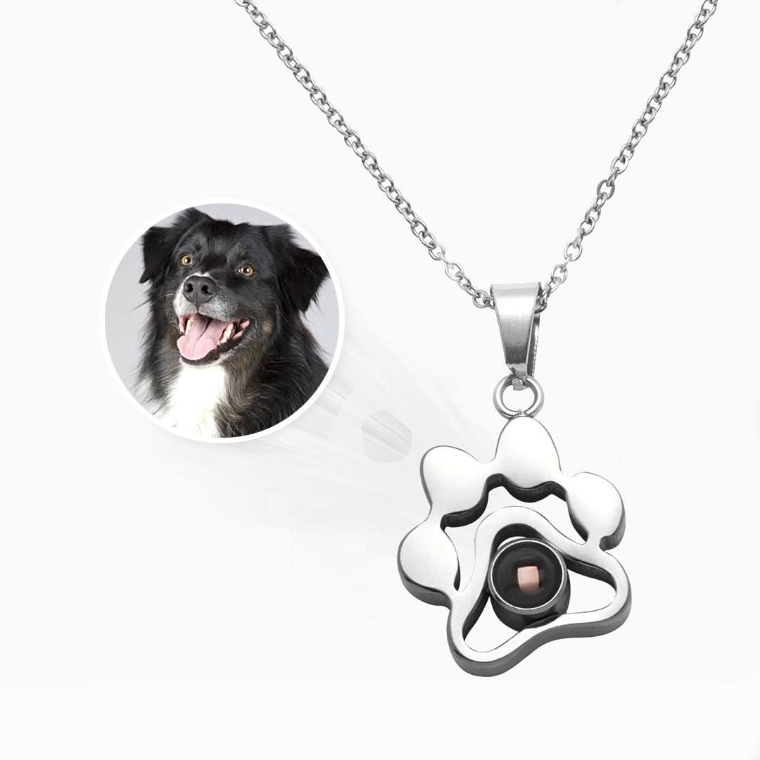 Collier photo personnalisé pour animaux de compagnie